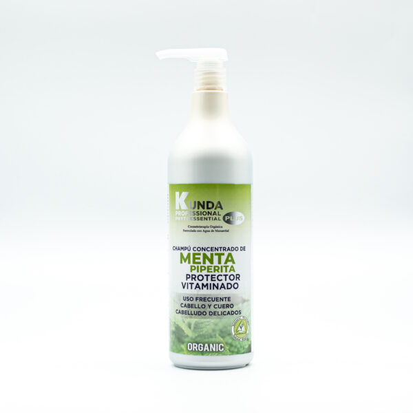 Champú Menta Piperita Protector Vitaminado 250mL | 1000mL - Imagen 2